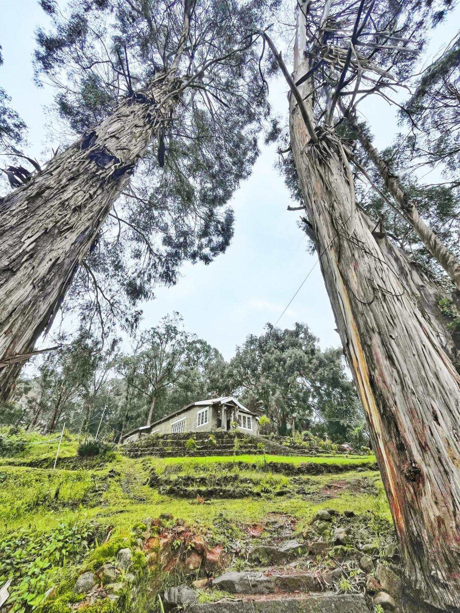 Springdale Villa Kodaikanal Eksteriør bilde