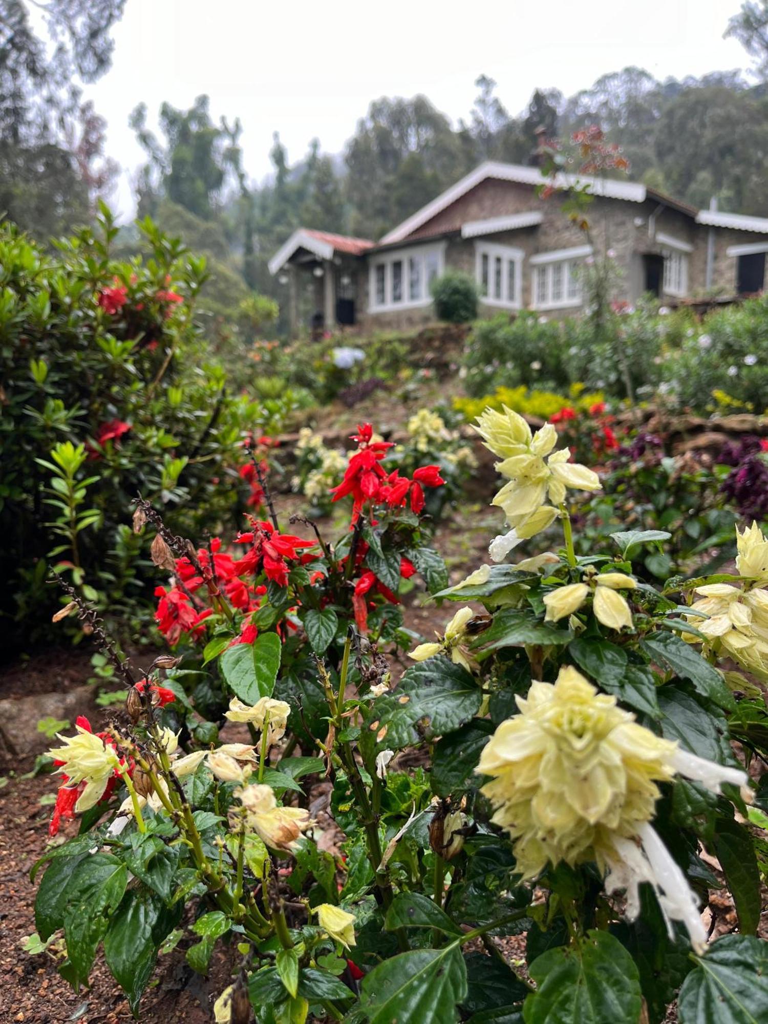 Springdale Villa Kodaikanal Eksteriør bilde