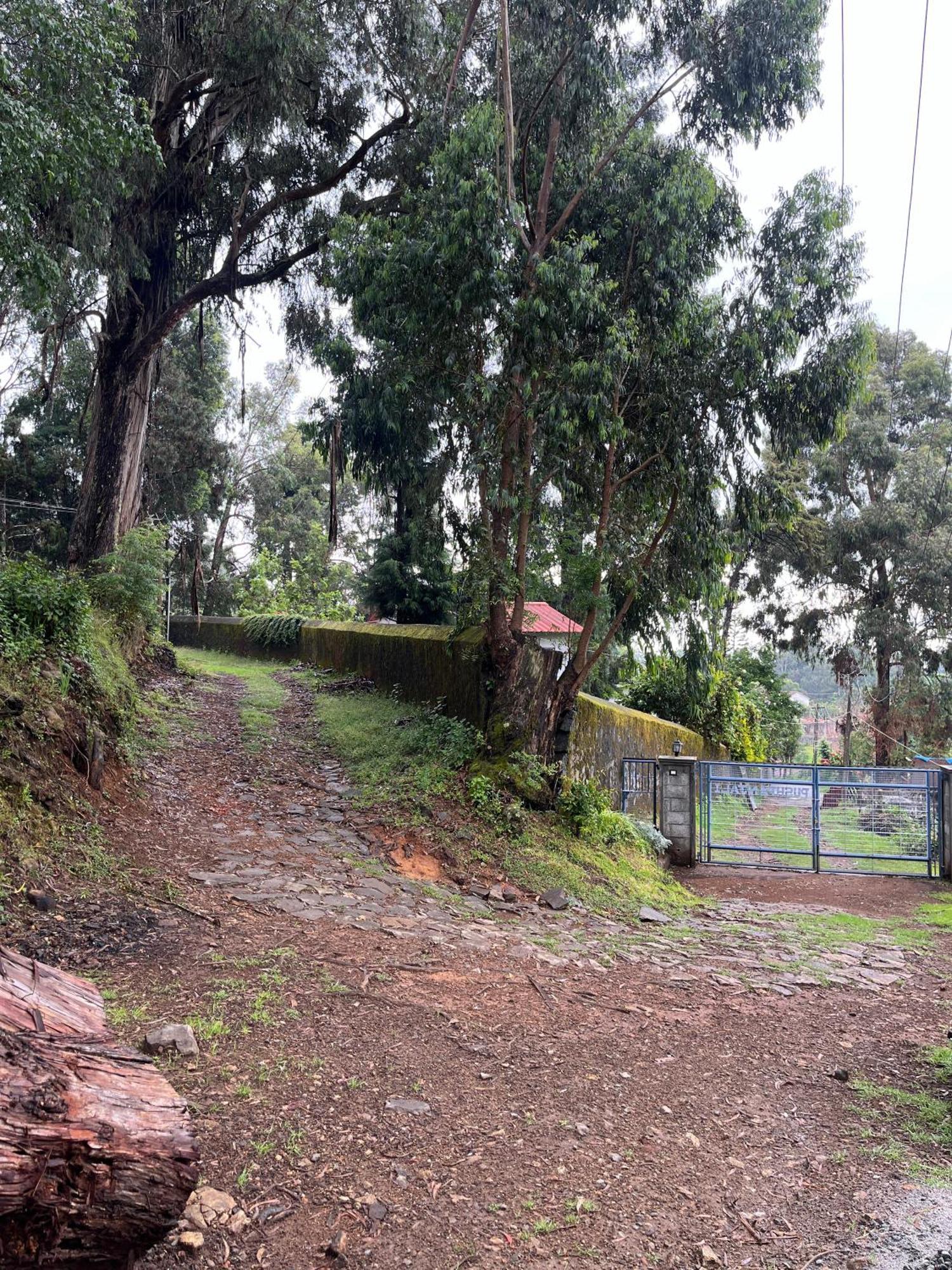 Springdale Villa Kodaikanal Eksteriør bilde