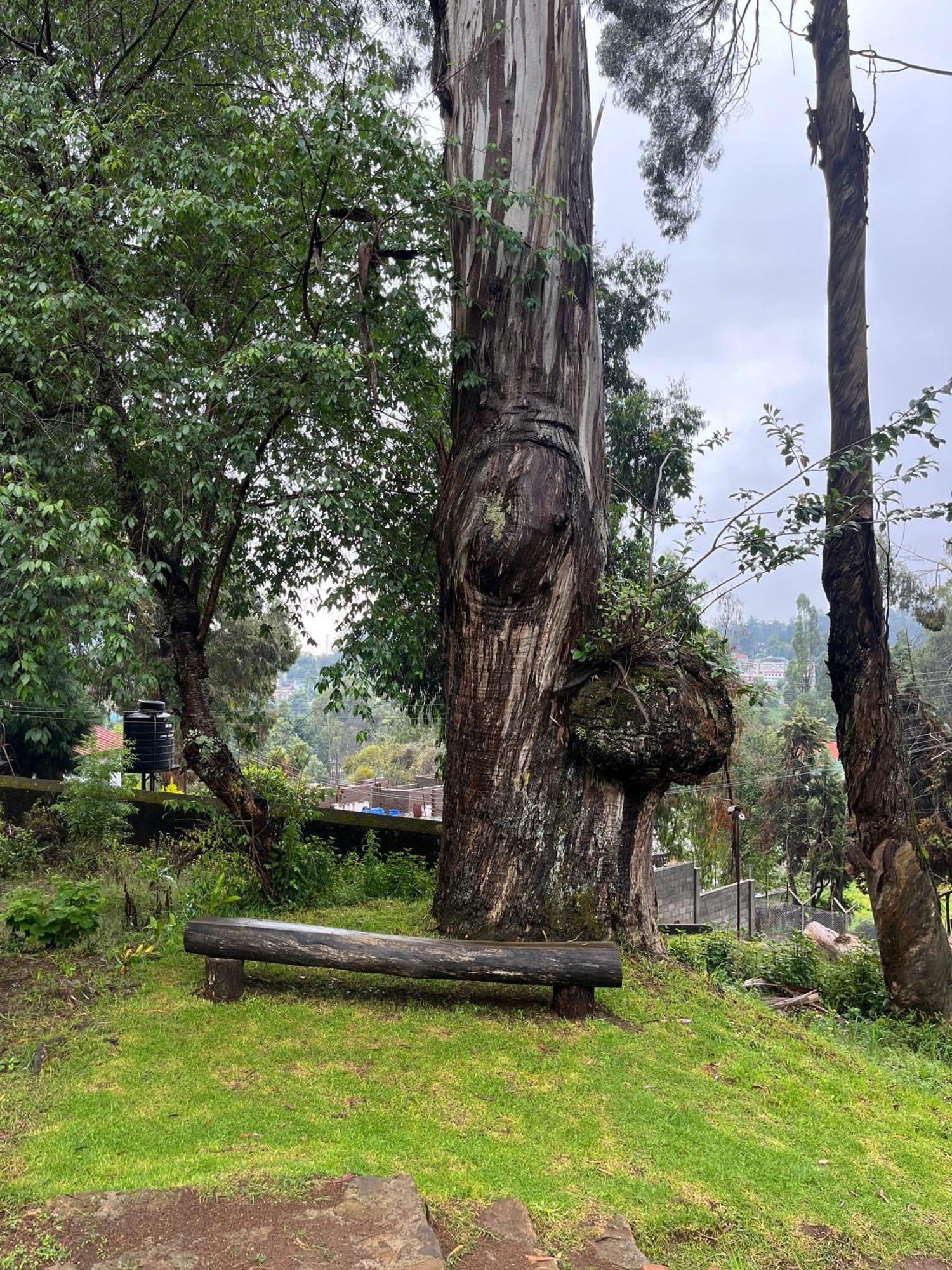Springdale Villa Kodaikanal Eksteriør bilde