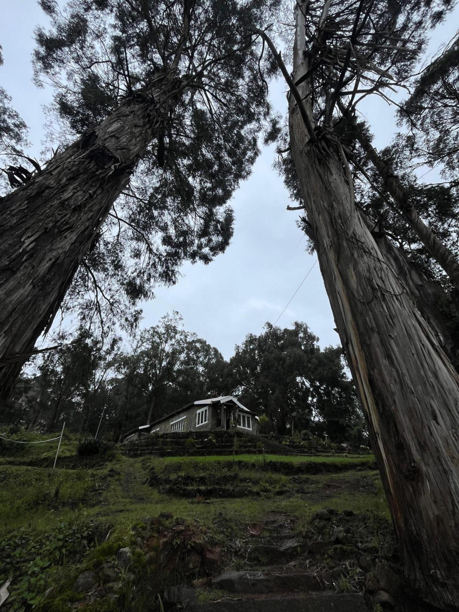 Springdale Villa Kodaikanal Eksteriør bilde