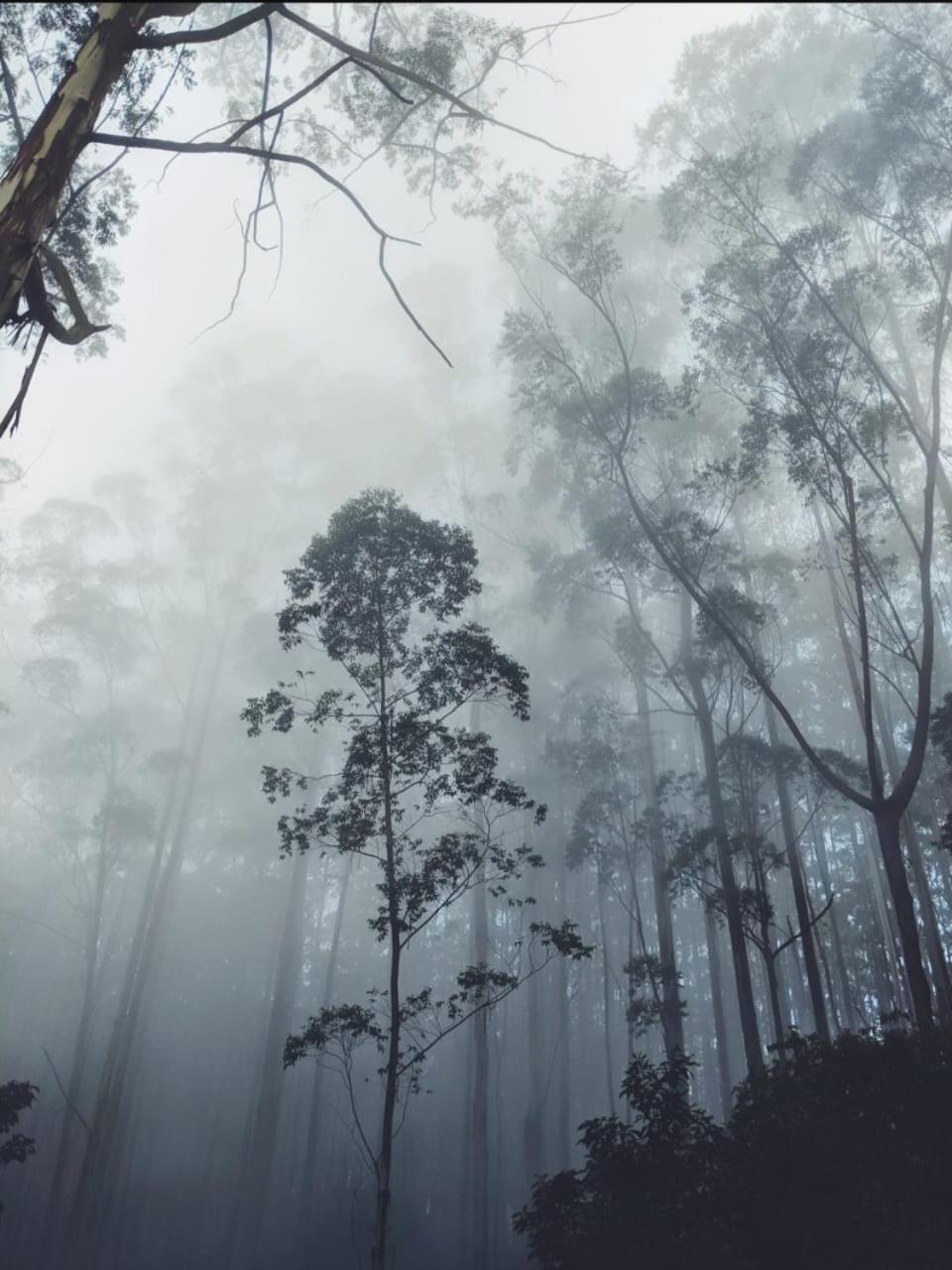 Springdale Villa Kodaikanal Eksteriør bilde